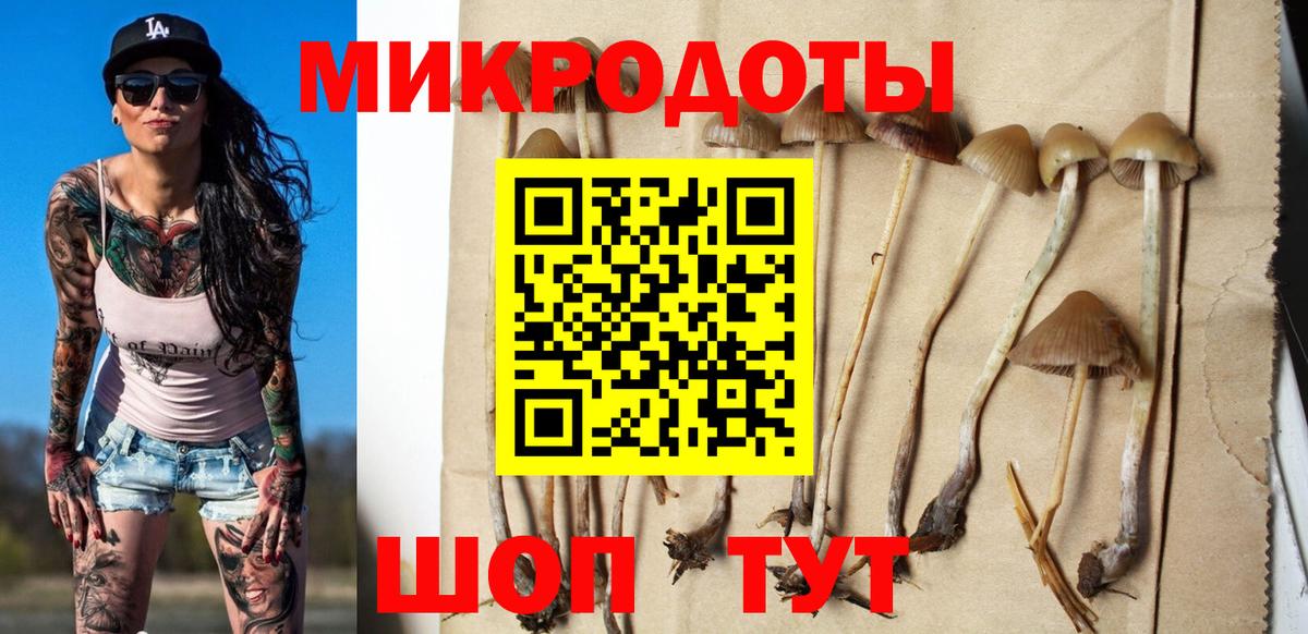 Галлюциногенные грибы Cubensis  Вход с VPN  Галлюциногенные грибы MAGIC MUSHROOMS  Чита 