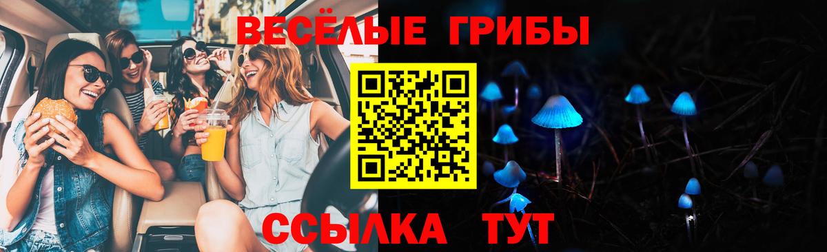 Псилоцибиновые грибы Psilocybe Чита