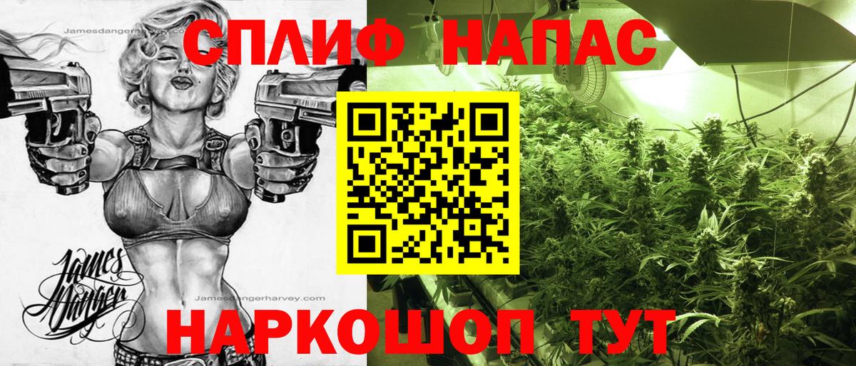 Конопля OG Kush Чита